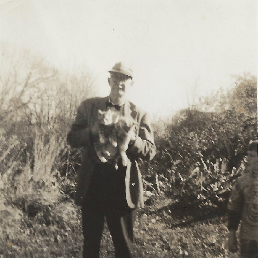 MacIvor Reddie with kittens