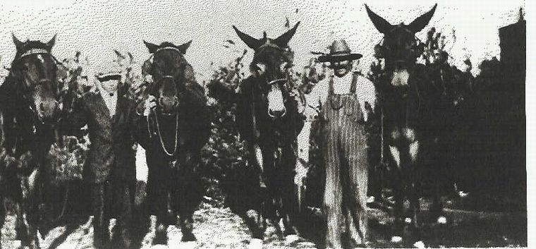 Albert M. Carl & His Son, Leroy Albert Carl