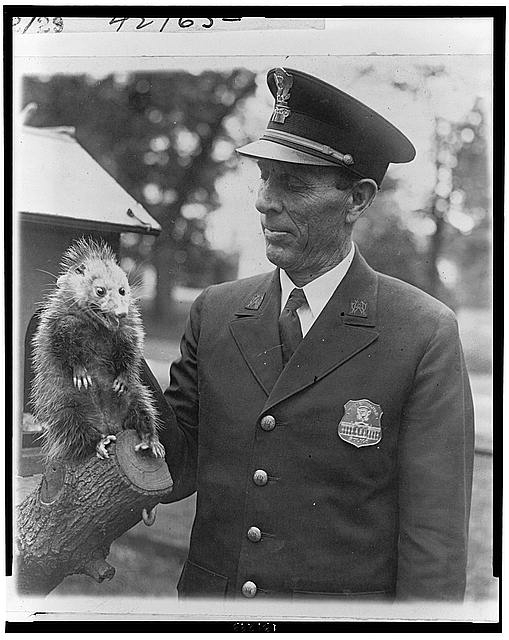 Officer Snodgrass of the White House police force with...