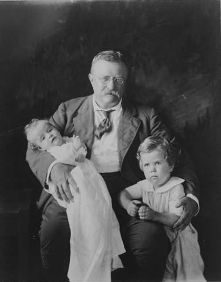 [Theodore Roosevelt, three-quarter length portrait,...