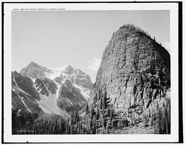 Bee Hive and Mt. Aberdeen, Alberta, Canada