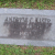 Andrew Kisor
