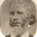 A photo of Andrew Jackson  Allen
