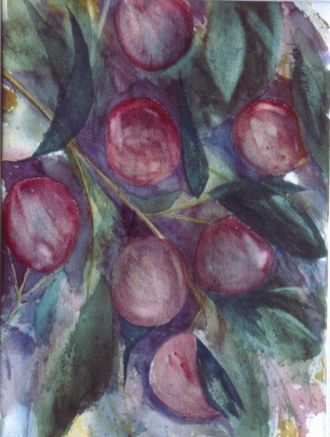 Plums - Watercolor still life by Fred Halkett
