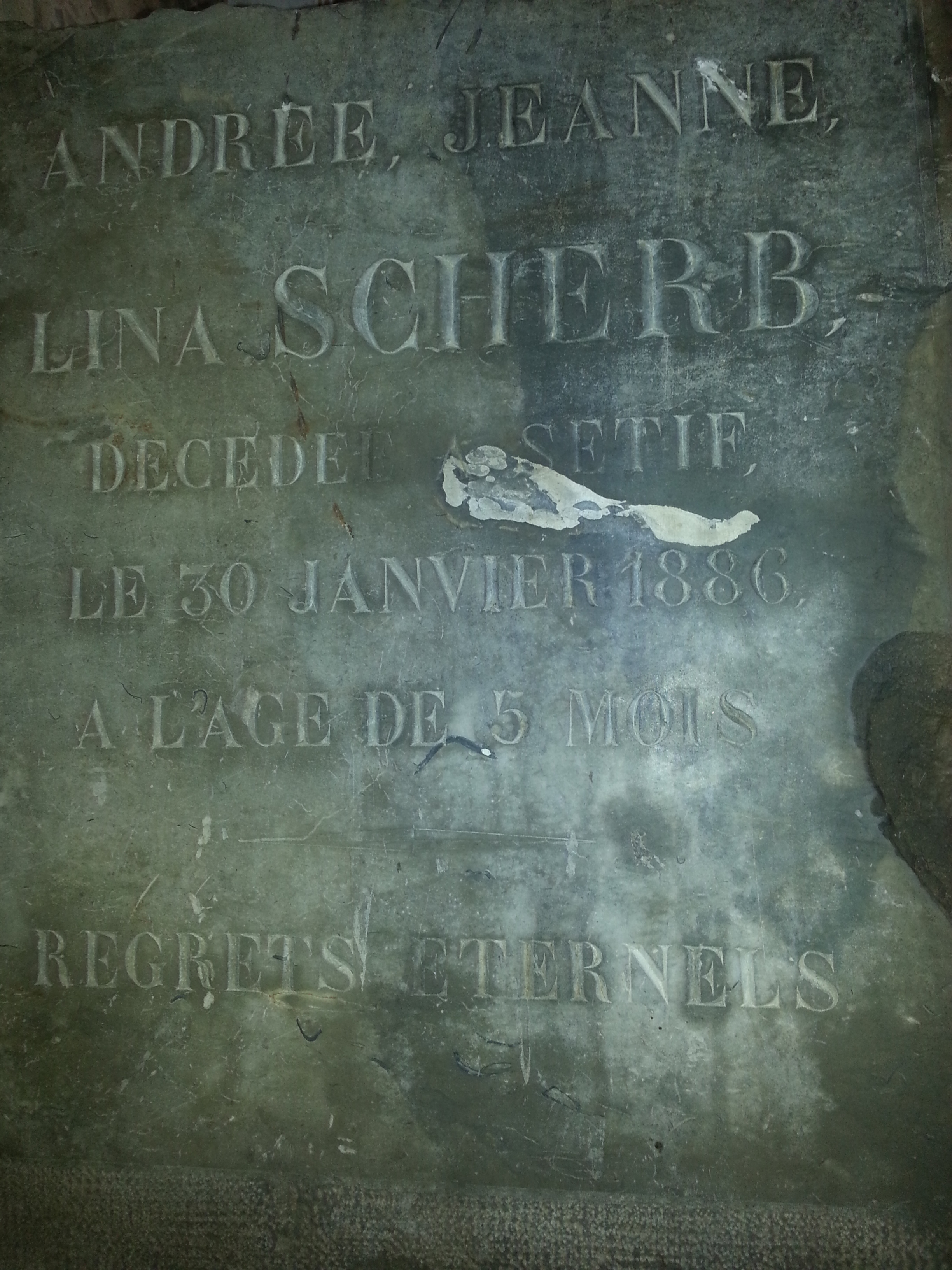Andree Jeanne Lina Scherb grave