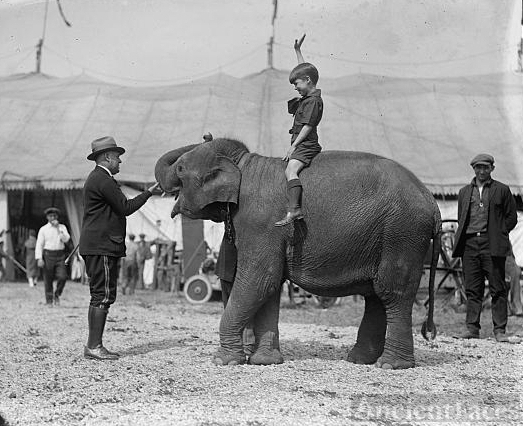 Teddy Roosevelt at circus, [5/13/24]