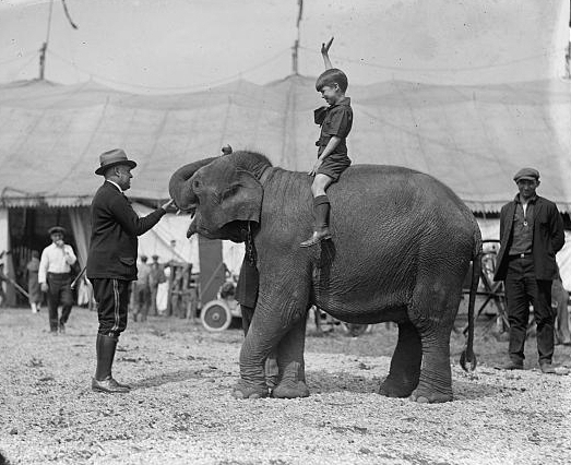 Teddy Roosevelt at circus, [5/13/24]