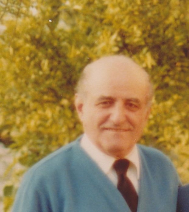 Solon J Mylonas