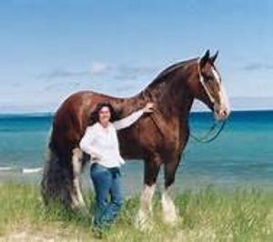 Sara Shalda multiple world champion horse trainer 