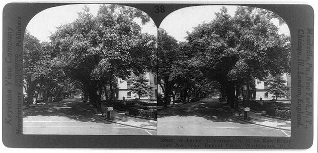A tunnel of verdure; N.E. on New Hampshire Ave., from...