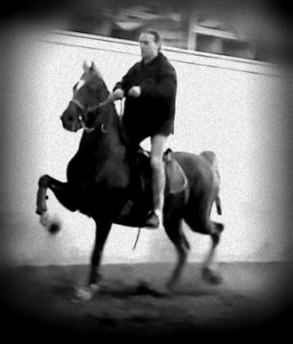 Freddy C. Deruijsscher