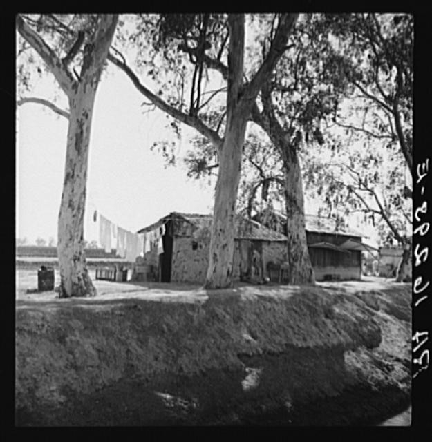 Ditch bank housing for Mexican field workers. Imperial...