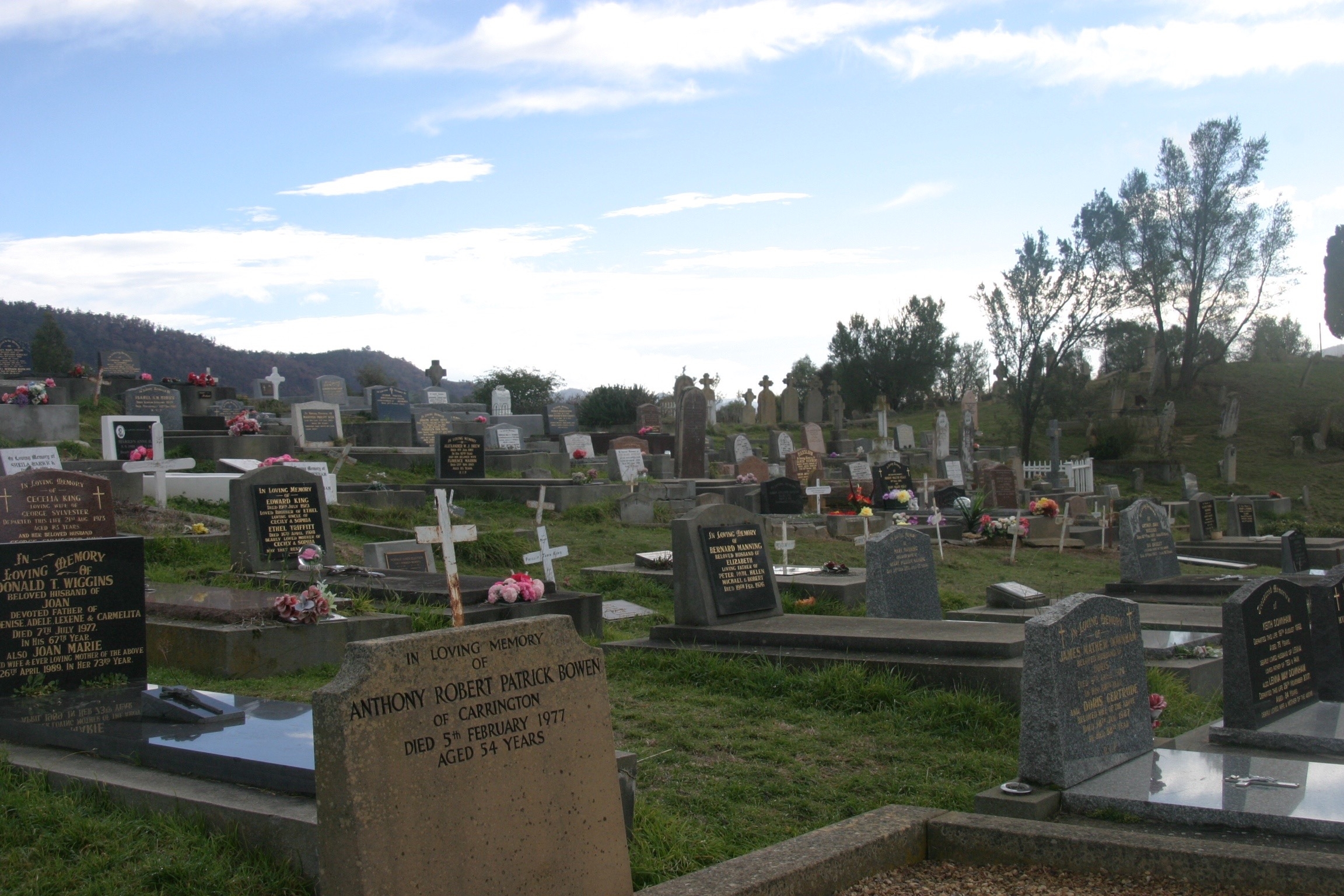 Miene Wilhelm Krushka Gravesite