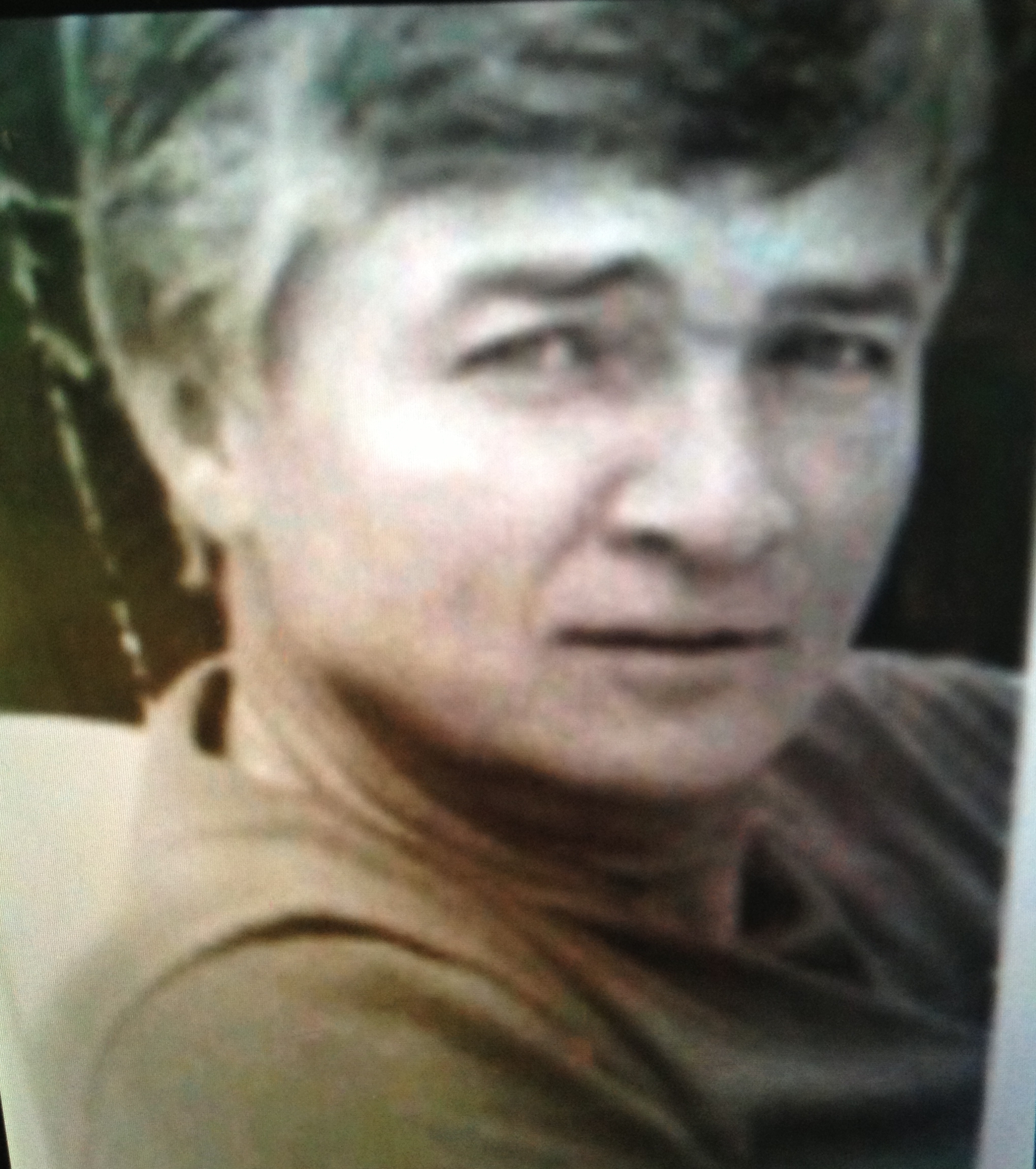 Denis F Grimes