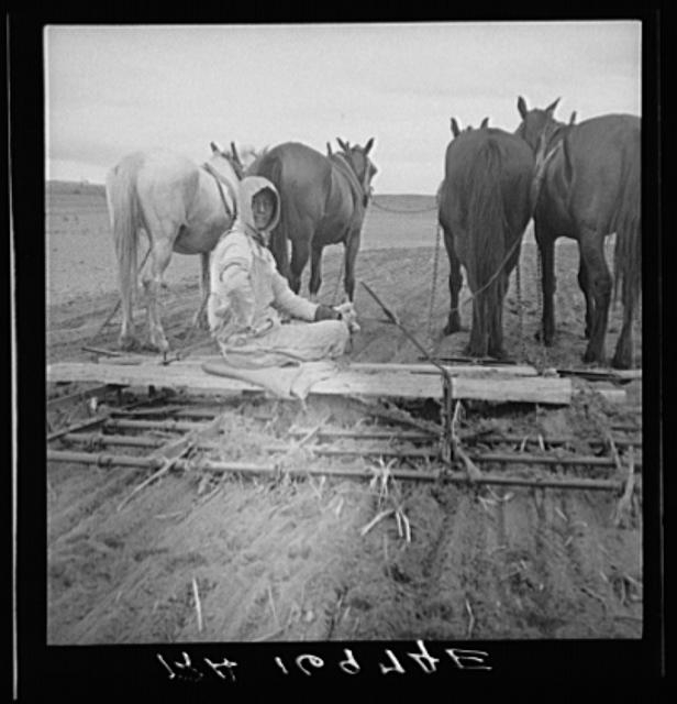 West Texas tenant farmer's wife. She has worked on this...