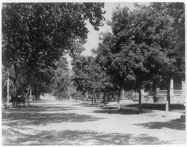[A residential street, Albuquerque, New Mexico]
