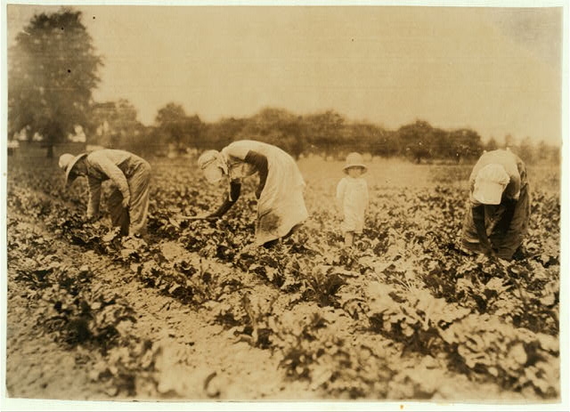 John Kalishek family, Bohemian beet-workers. Location:...