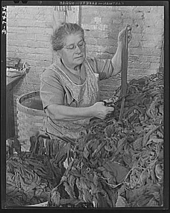 Discarded stockings go to war. Removing the cotton parts...