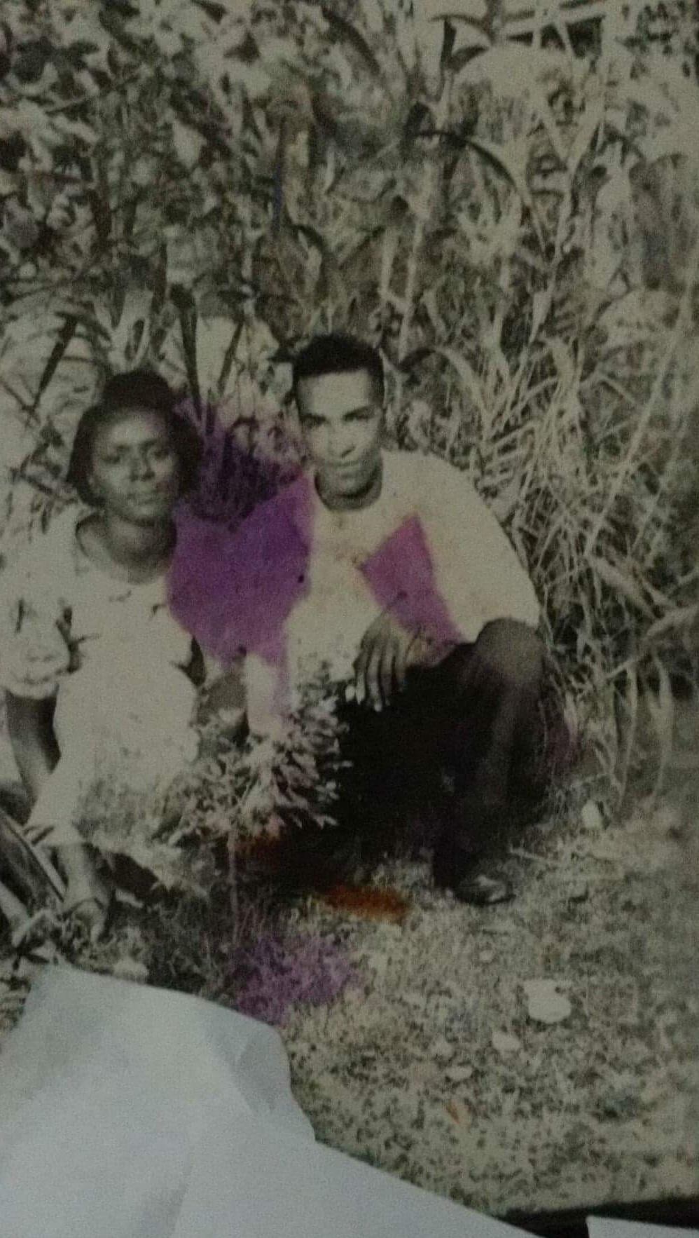 Ervin and Ruby D Turner