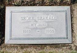 S. Z. Sakall's Gravestone