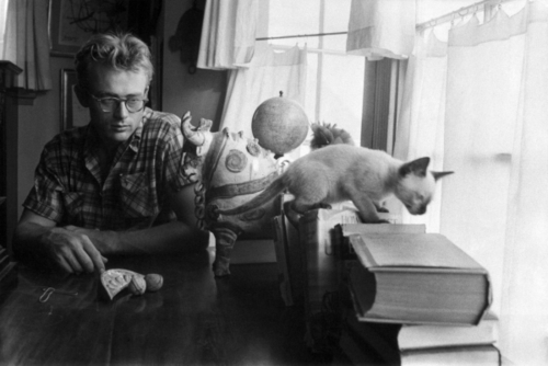James Dean and Curtis