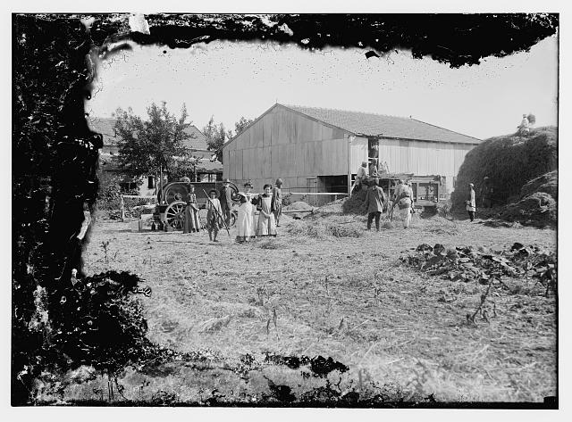 German Colonies in Palestine. Wilhelm [i.e., Wilhelma] &...