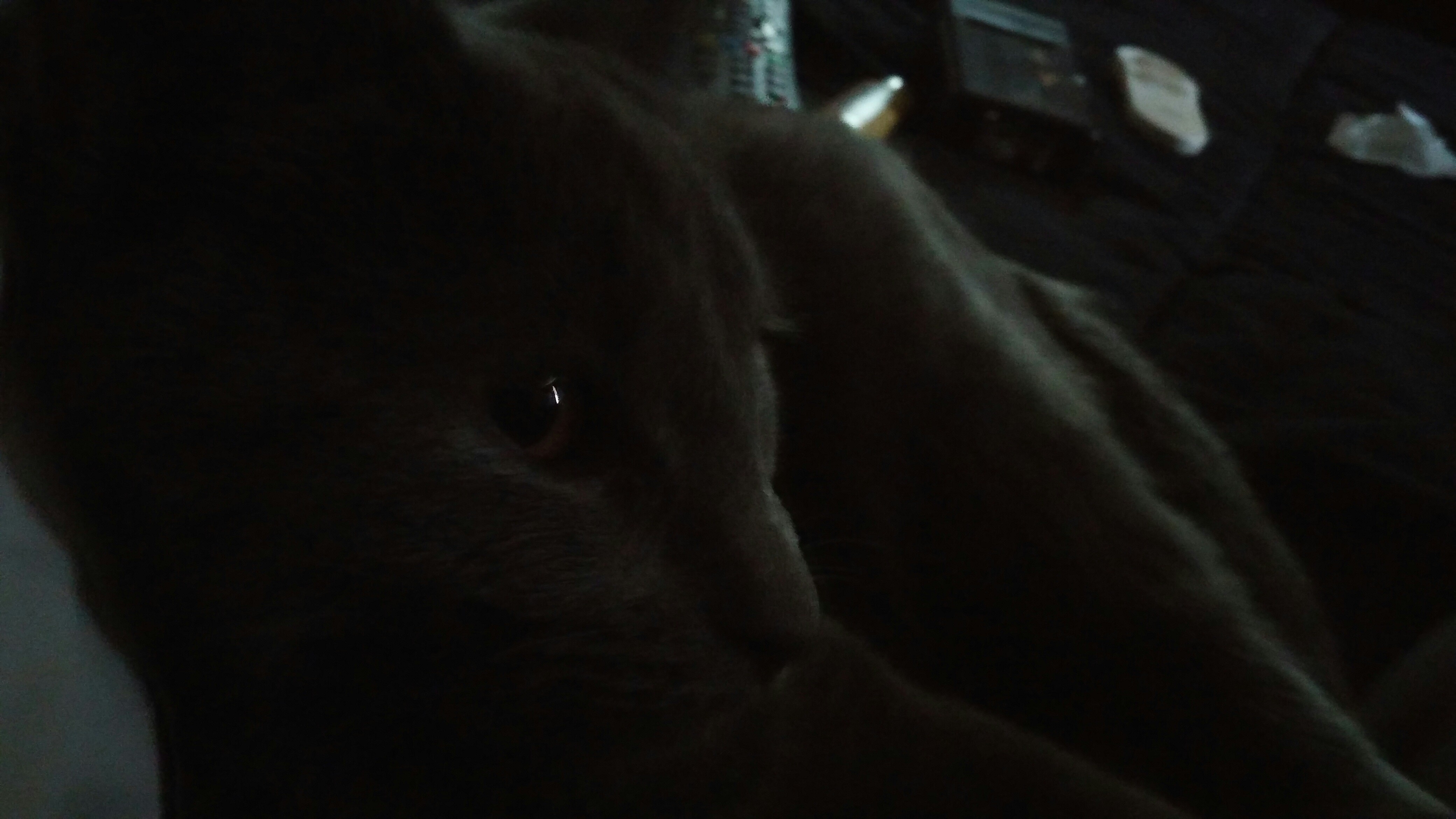 my best friend in the whole world