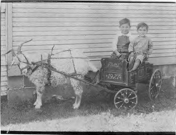 Johnson Boys with Goat and wagon