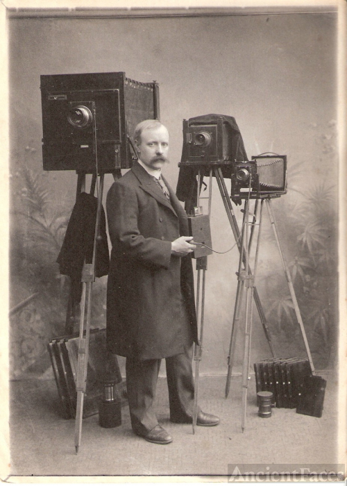 Gambier Curtis Reeks