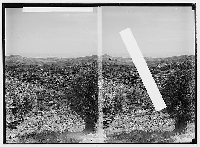 Bethlehem and surroundings. Shepherd's field from Bethlehem