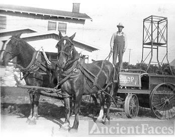 A.O. Lacey & His Citrus Grove Spray Business