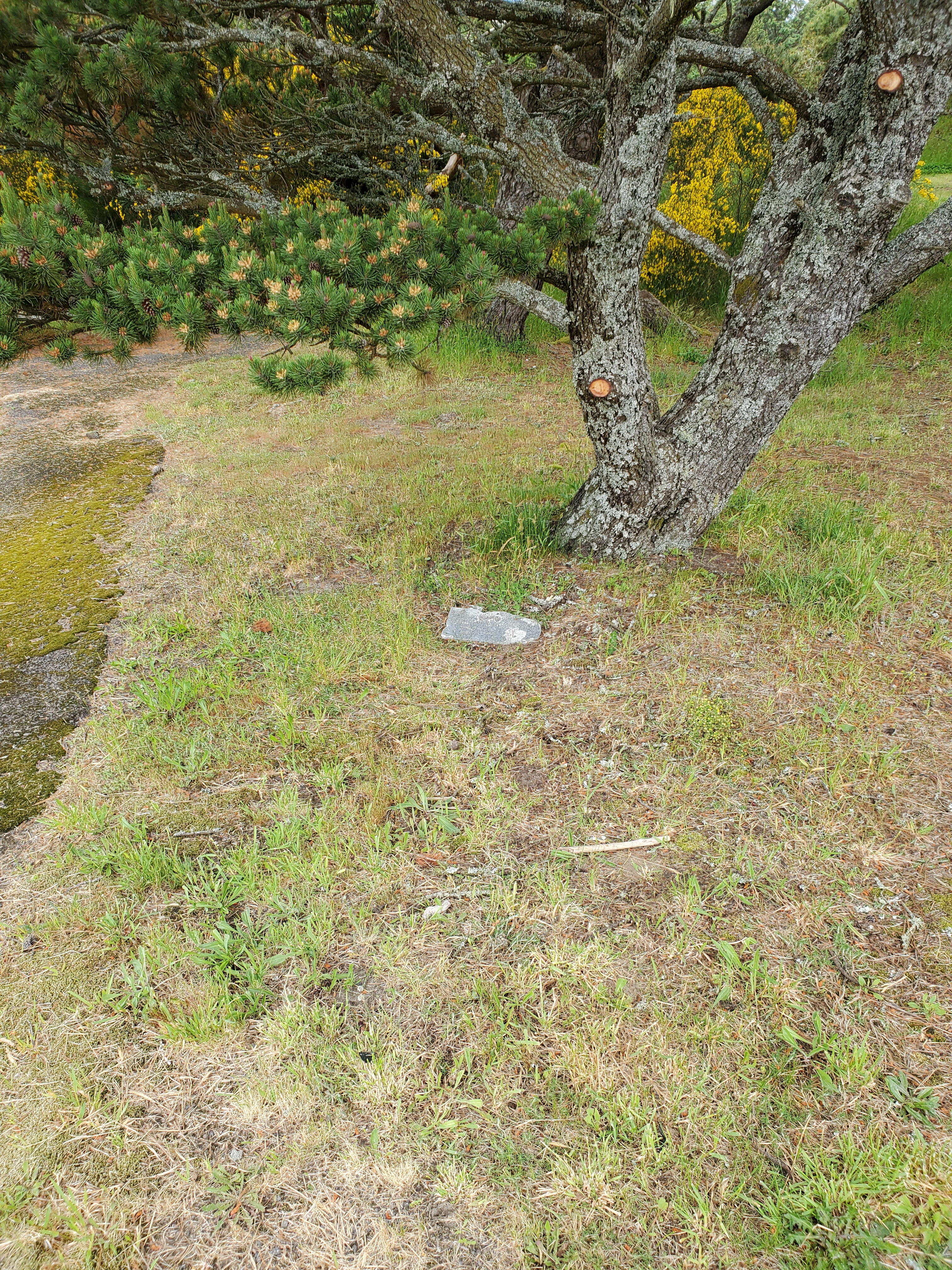 Laurent Gronquist Gravesite