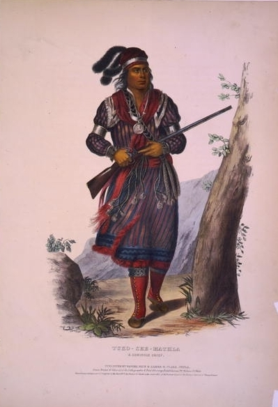 Tuko-See-Mathla, a Seminole chief / drawn, printed &...