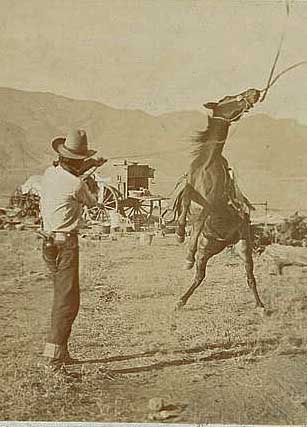 Texas Cowboy roping a horse
