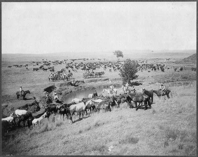 Mount and Day Herd