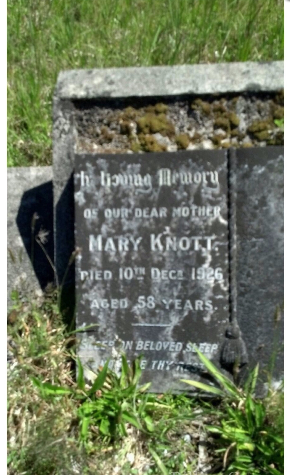 Mary Knott gravesite