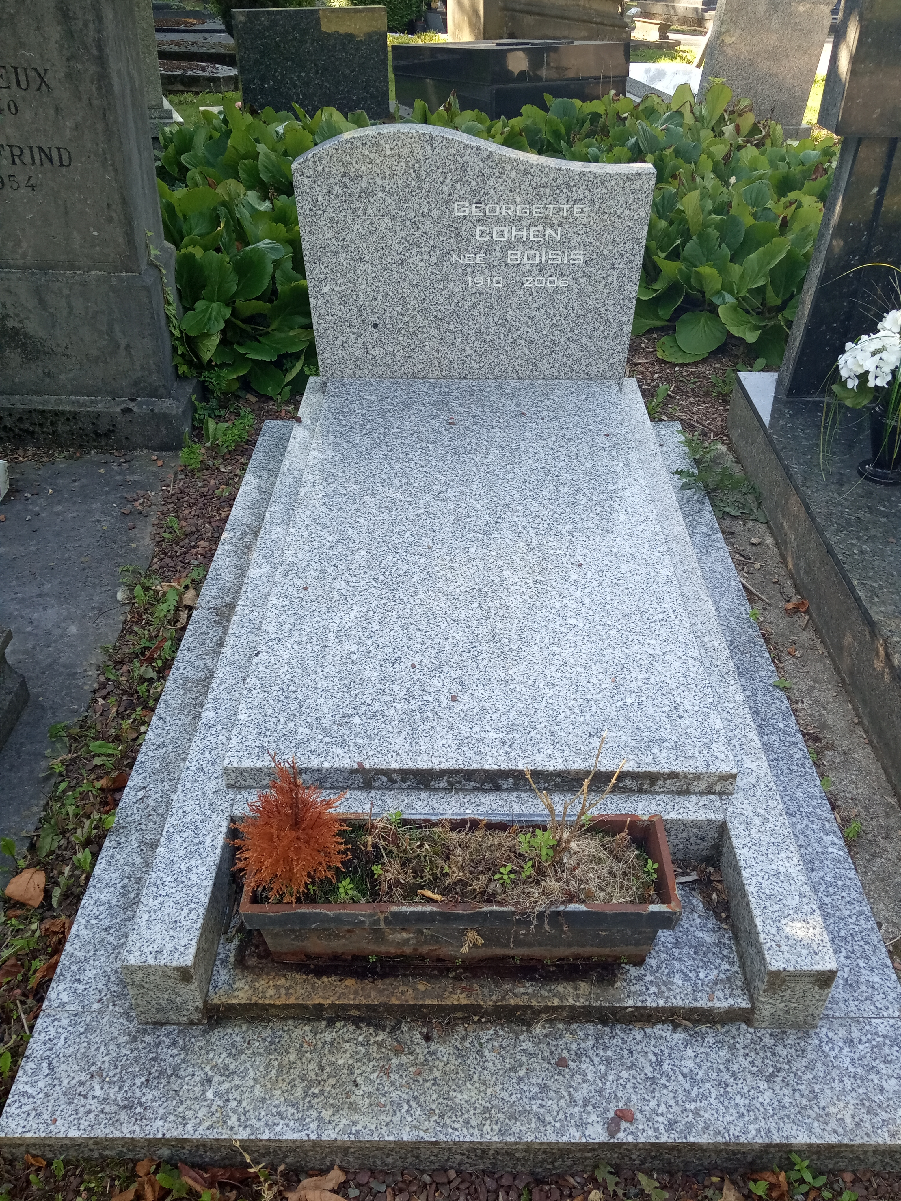 Georgette Boisis Gravesite