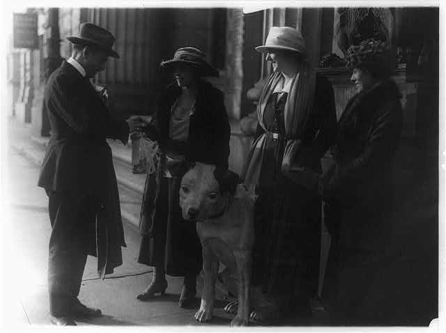 Society folk turn out to plead for donations to the House...