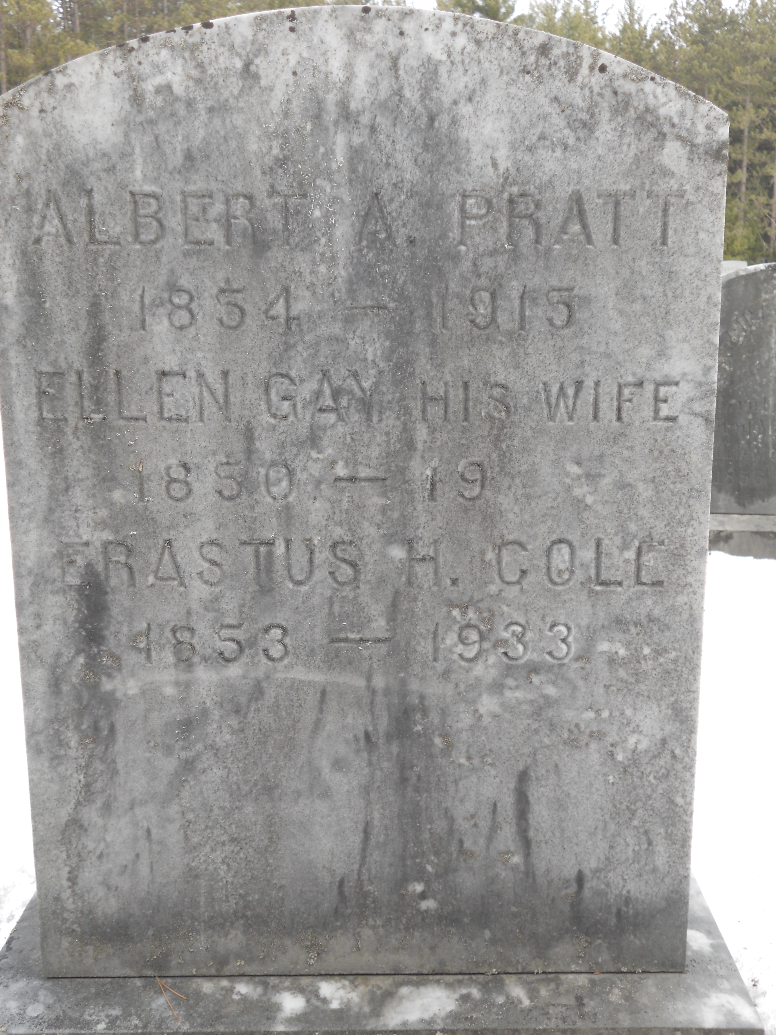 Erastus  Hillman Cole gravesite