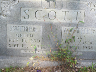 Green Scott Green Scott