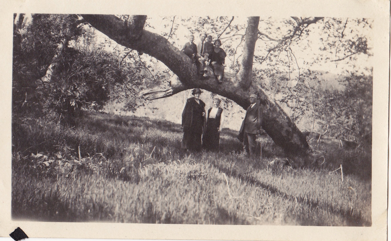 Hanging out in the tree