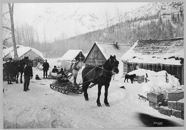 Horses pulling sleds on the Valdez Trail
