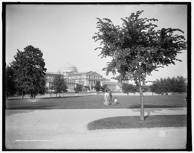 Field Museum [of Natural History], Chicago, Ill.