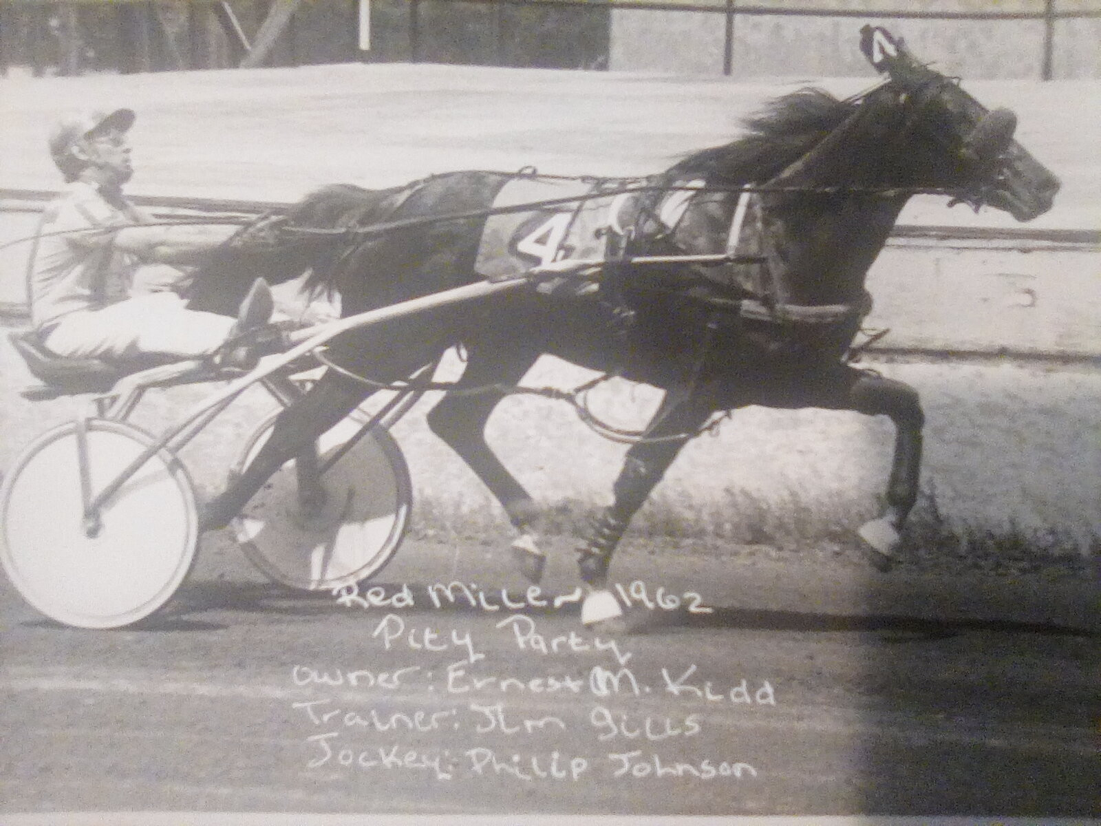 One of my grandfather's Trotters
