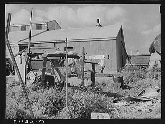 Migrant vegetable pickers and packinghouse workers. The...