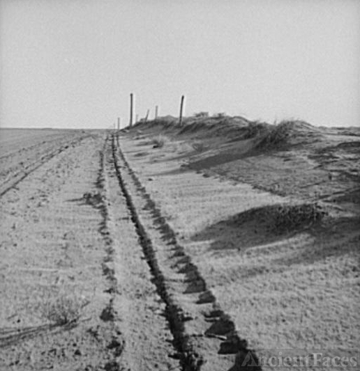 Sand drift along fence. Dust Bowl, north of Dalhart, Texas