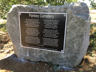 Poem “Elegy for Amy” in Pankey Cemetery 