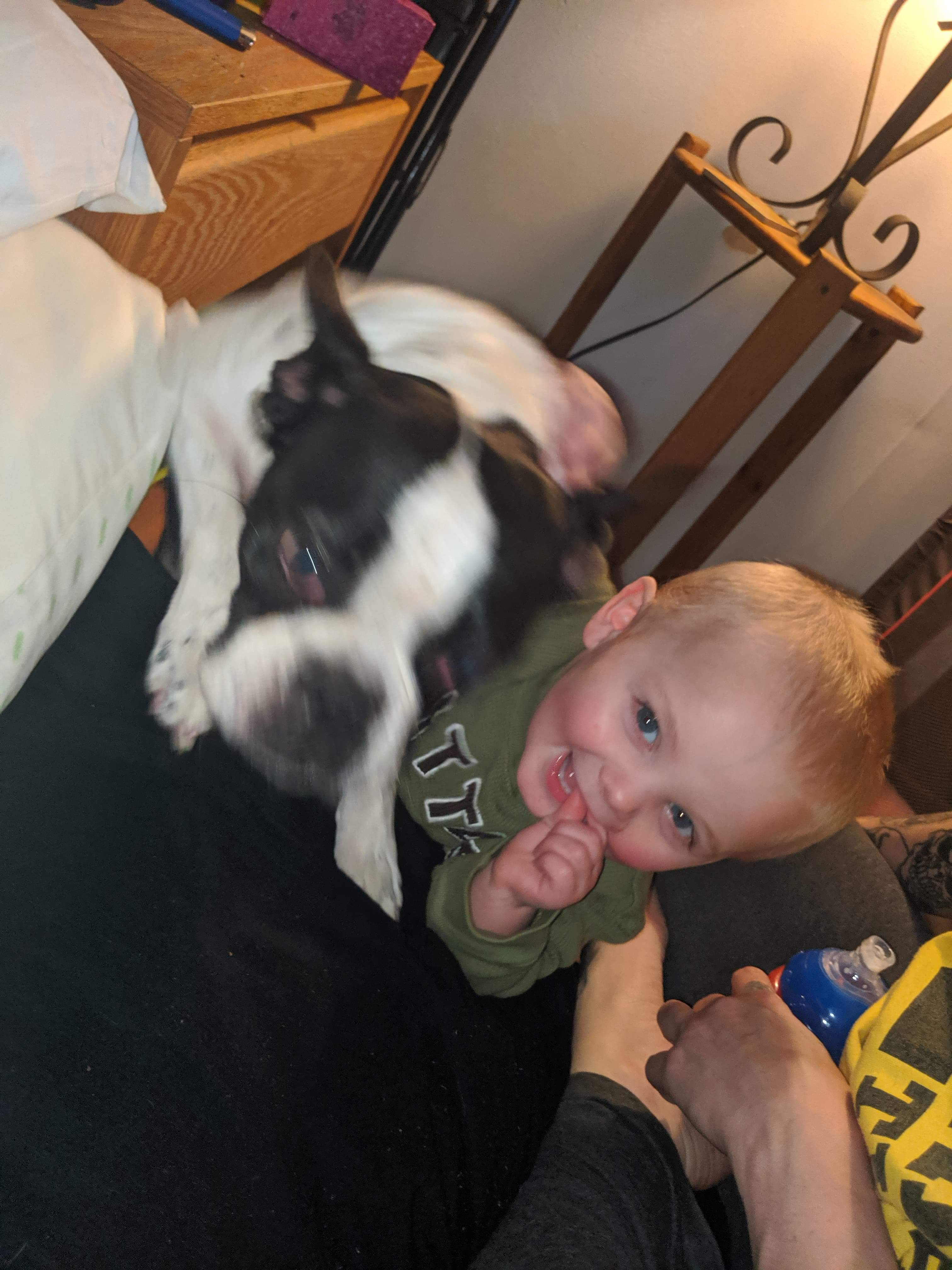 Kolton Michael Ansell