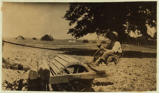 Harry Dewitt driving a roller on his father's farm. See...
