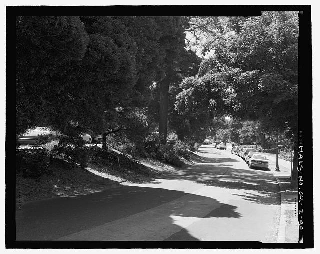 VIEW OF PIEDMONT AVENUE AT ORIGINAL TERMINATION OF THE...